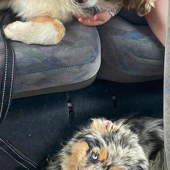 Trixi Et Taya