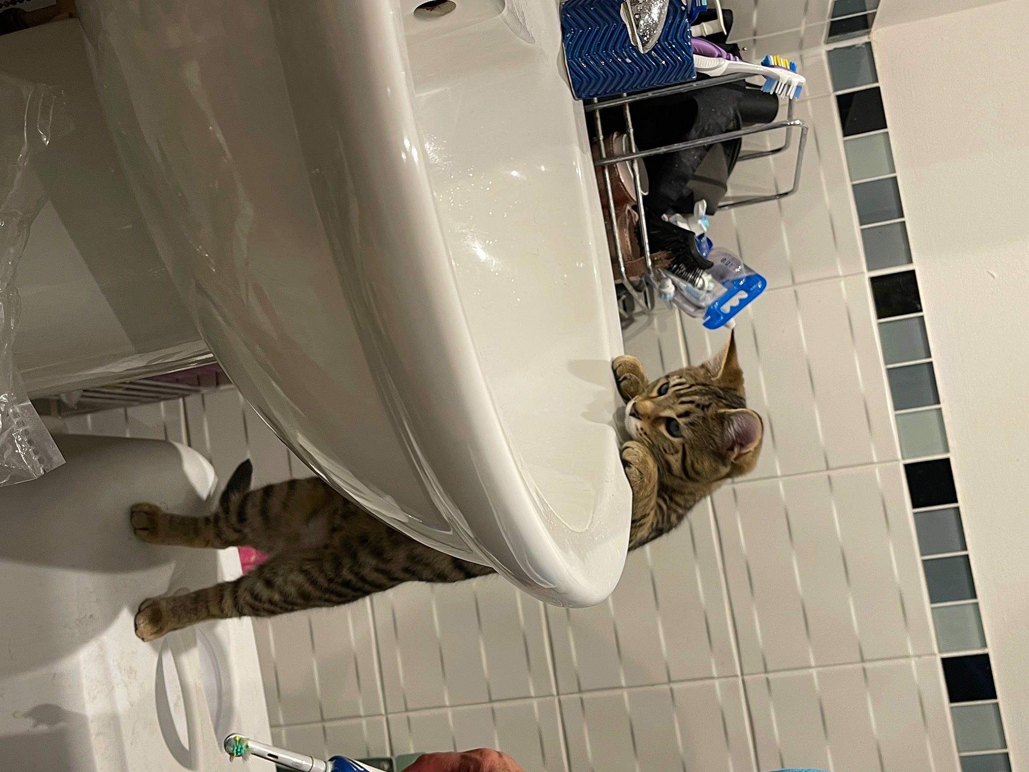 Akira joined the competition — help win amazing prizes! aerospace_engineering, auto_part, automotive_design, automotive_exterior, automotive_lighting, automotive_tire, automotive_wheel_system, facade, flooring, glass, human_leg, line, machine, metal, outdoor_shoe, reflection, room, space, vehicle_door, wood