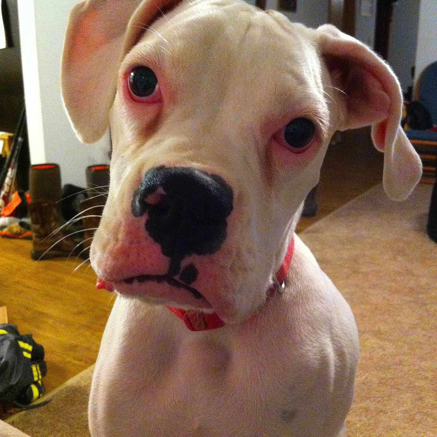 Bryn joined the competition — help win amazing prizes!