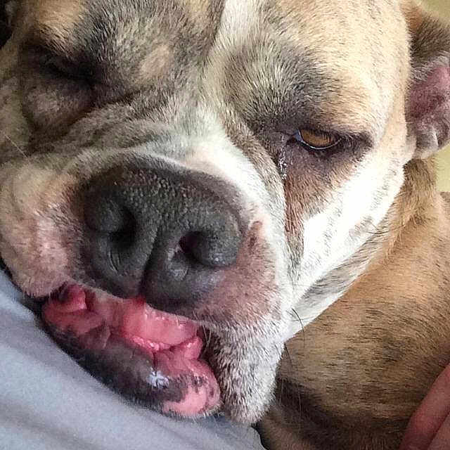 Lucy joined the competition — help win amazing prizes!