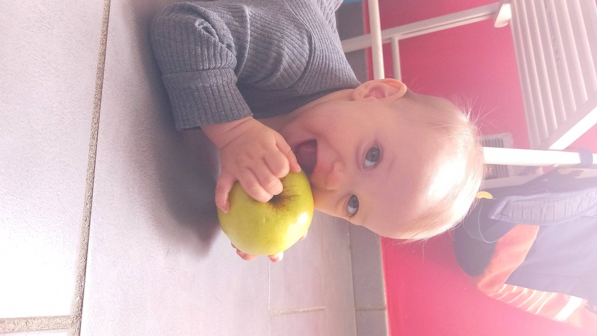 Anna a rejoint le concours — aidez-le/la à gagner de superbes lots ! apple, baby, ball, cheek, chest, child, elbow, finger, food, fruit, hand, happy, mouth, natural_foods, nose, person, plant, produce, skin, toddler