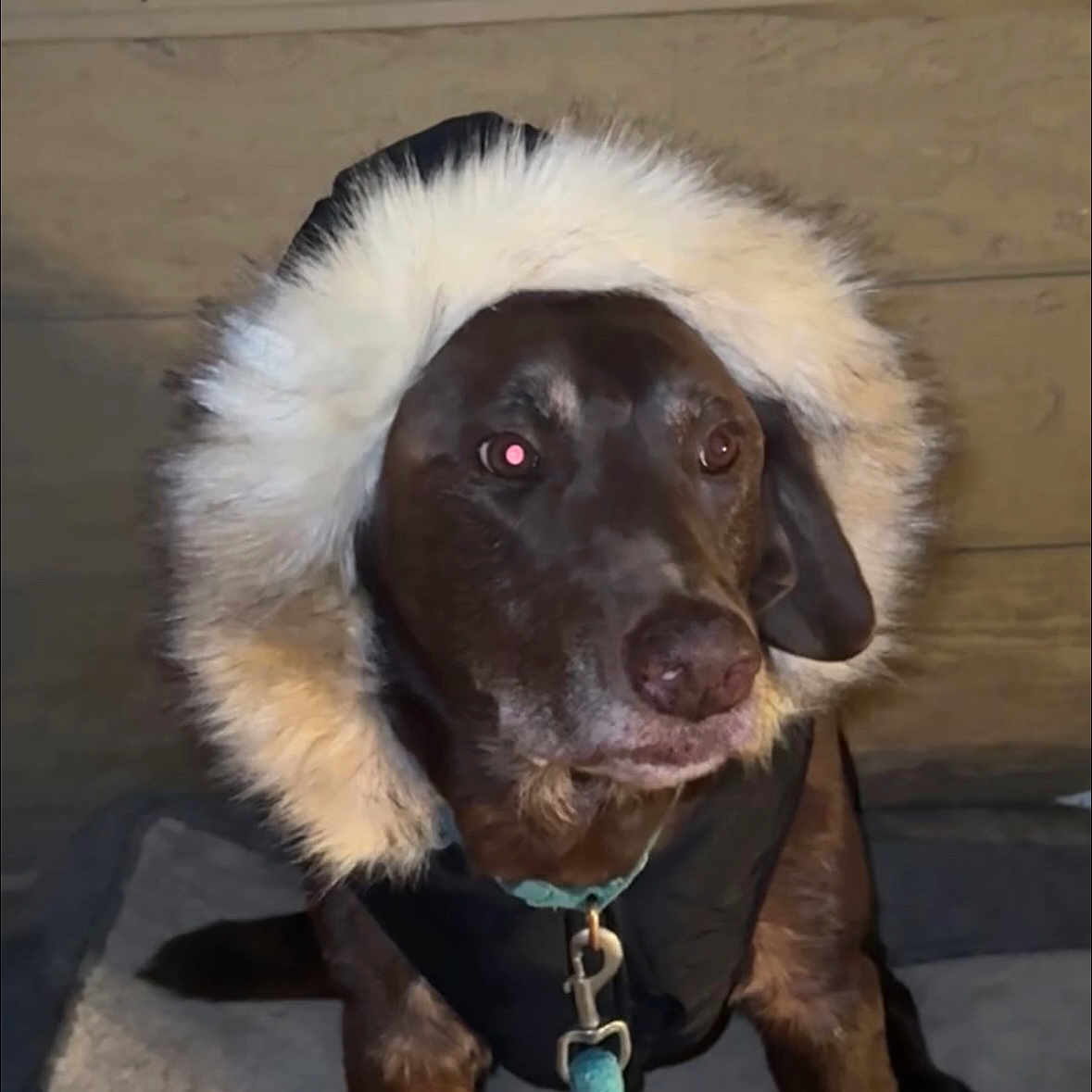 Kona