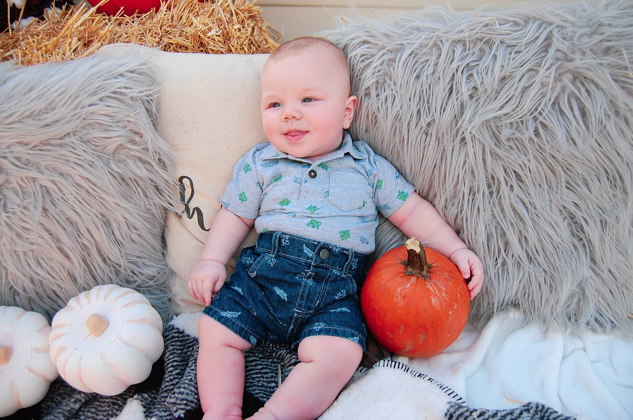Konnor is registered to the contest to win money with this photo: baby, calabaza, child, fur, person, plant, play, product, pumpkin, sitting, toddler, winter_squash, wool