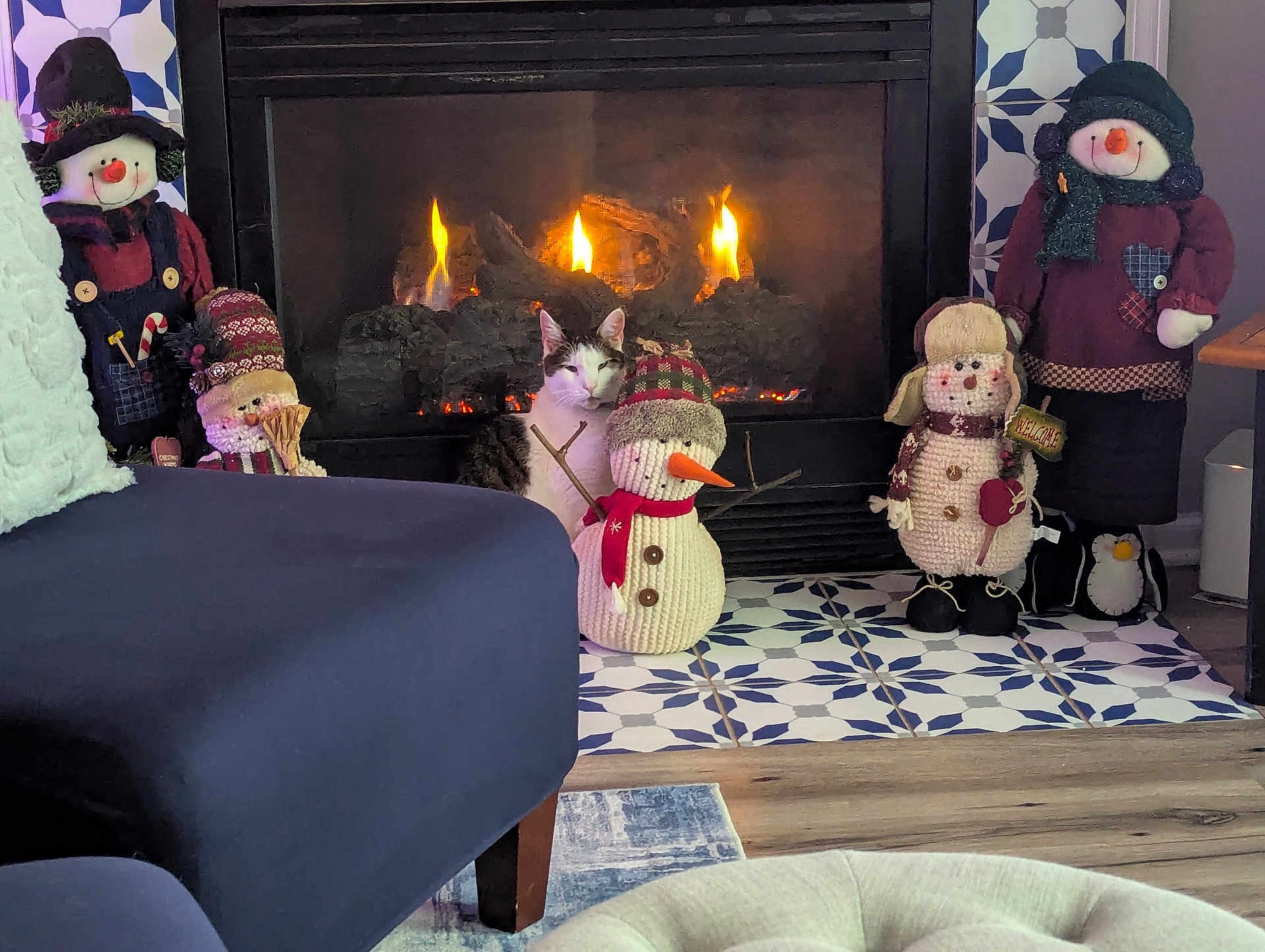 Frosty joined the competition — help win amazing prizes! cat, fireplace, snowman, decorations, penguin_plush, indoor, warm, cozy, patterned_floor, chair, plush_toys, holiday_decor, knit_hat, scarf, wood_floor, sitting, home_interior, fire, animal, feline