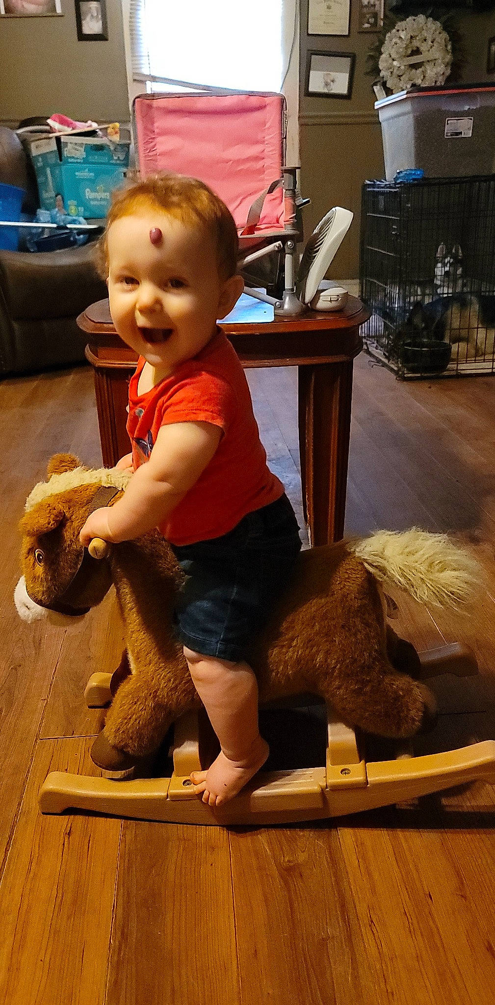 Addilyn joined the competition — help win amazing prizes! baby, baby_toddler_clothing, barefoot, child, flooring, foot, fun, hardwood, human_leg, people, person, sitting, smile, sock, standing, stuffed_toy, thigh, toddler, toy, vertebrate