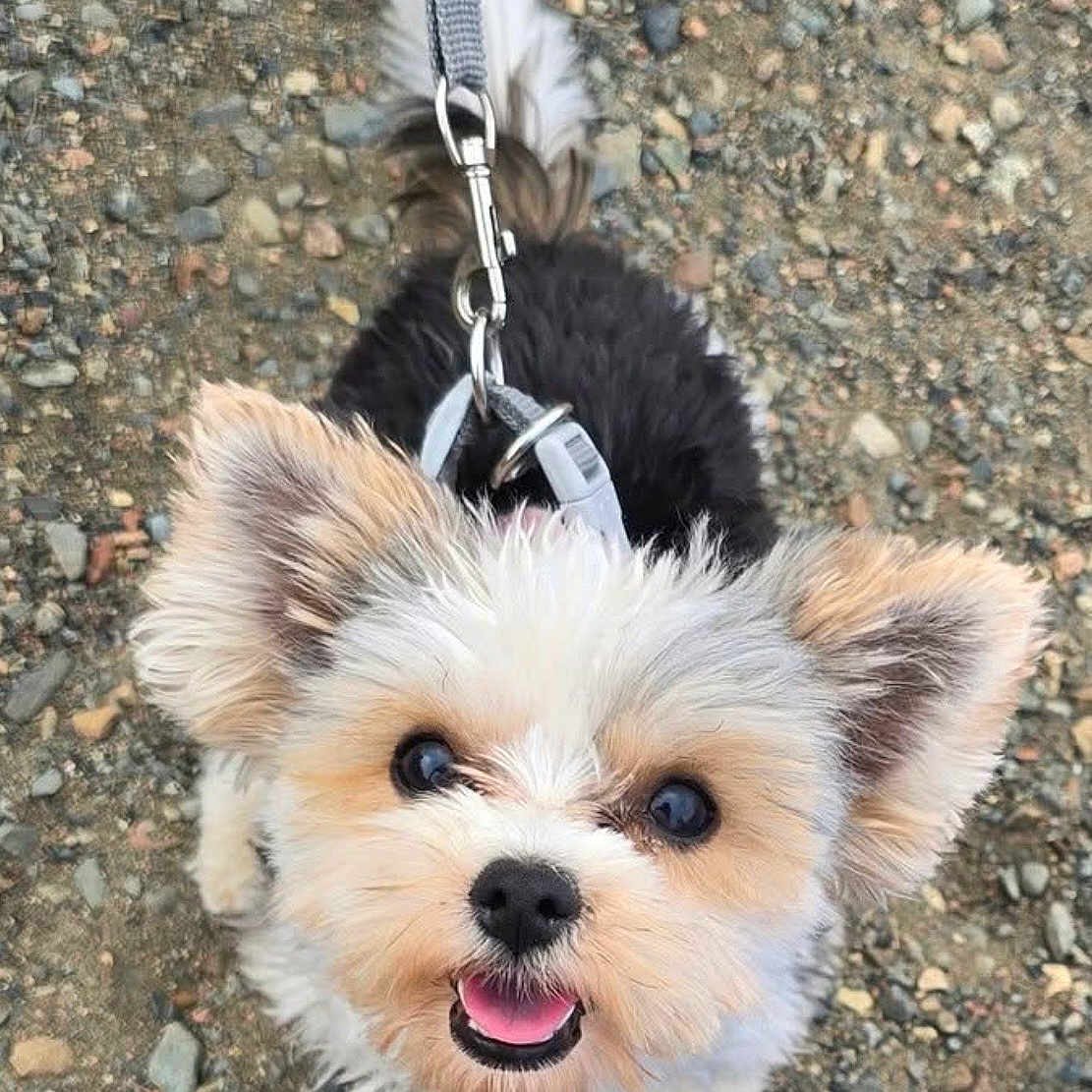 Chloe