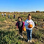 child, children, pumpkin, pumpkin_patch, field, outdoor, nature, plants, grass, sunny, daytime, people, harvest, fall, casual_clothing, smiling, jeans, hoodie, shoes, happy