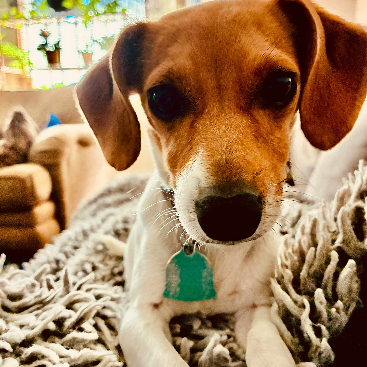 Riley