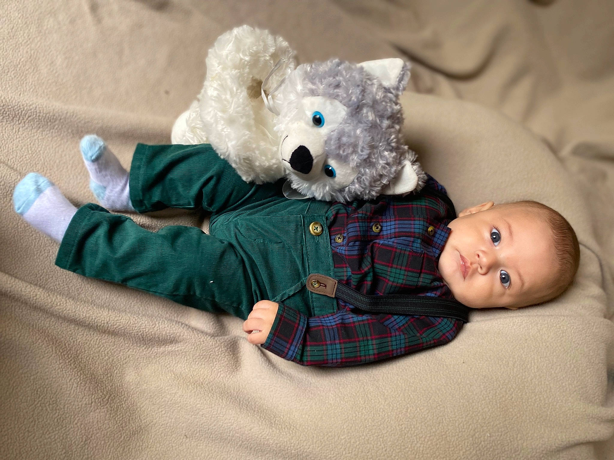Santiago joined the competition — help win amazing prizes! baby, baby_toddler_clothing, baby_toys, bed, bedding, child, comfort, companion_dog, fur, linens, pattern, person, plaid, plush, room, sitting, stuffed_toy, tartan, teddy_bear, textile