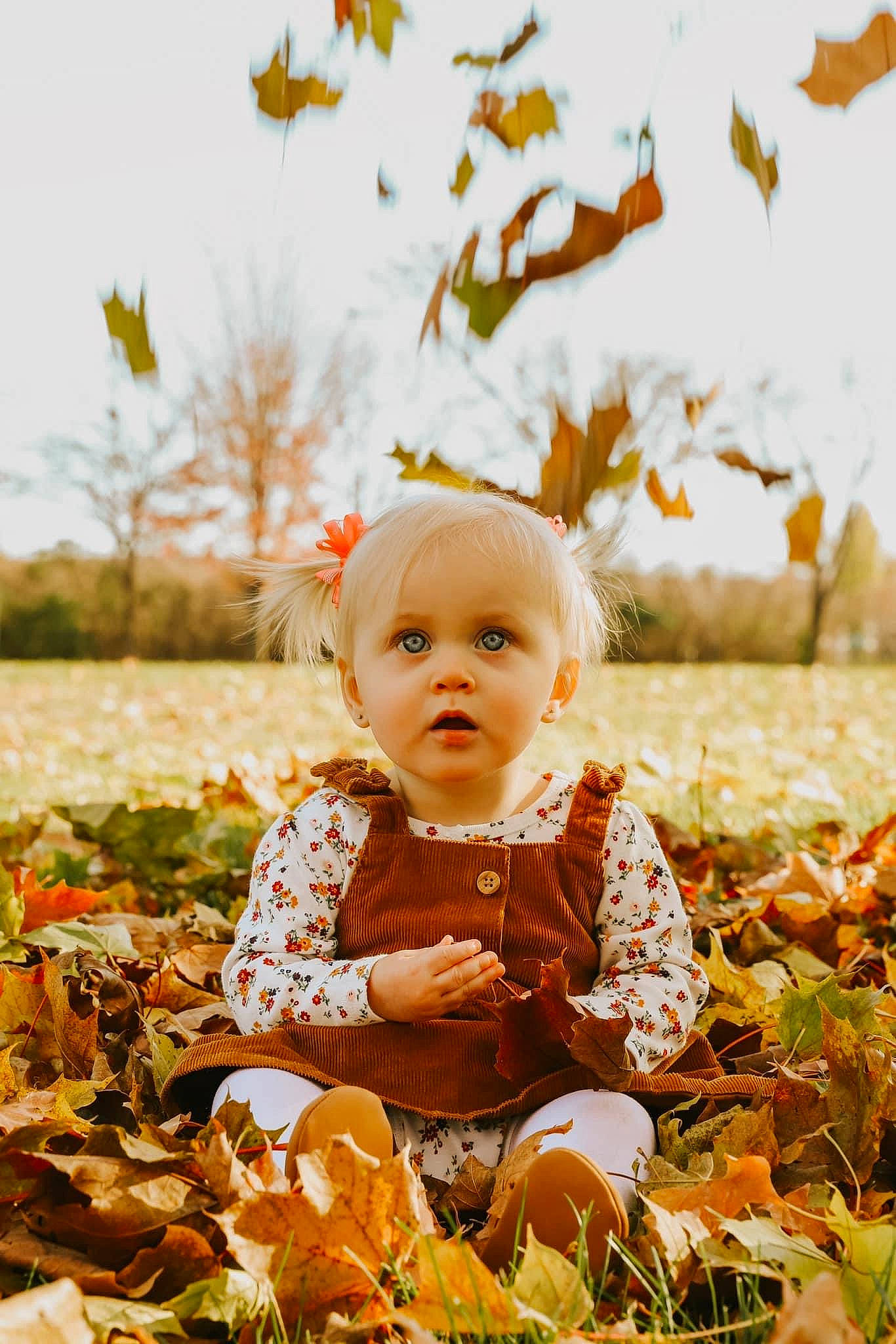 Brylie is registered to the contest to win money with this photo: baby, baby_toddler_clothing, botany, child, deciduous, grass, happy, head, orange, outerwear, people_in_nature, person, plant, playing_with_kids, pumpkin, sky, smile, sunlight, surprise, toddler