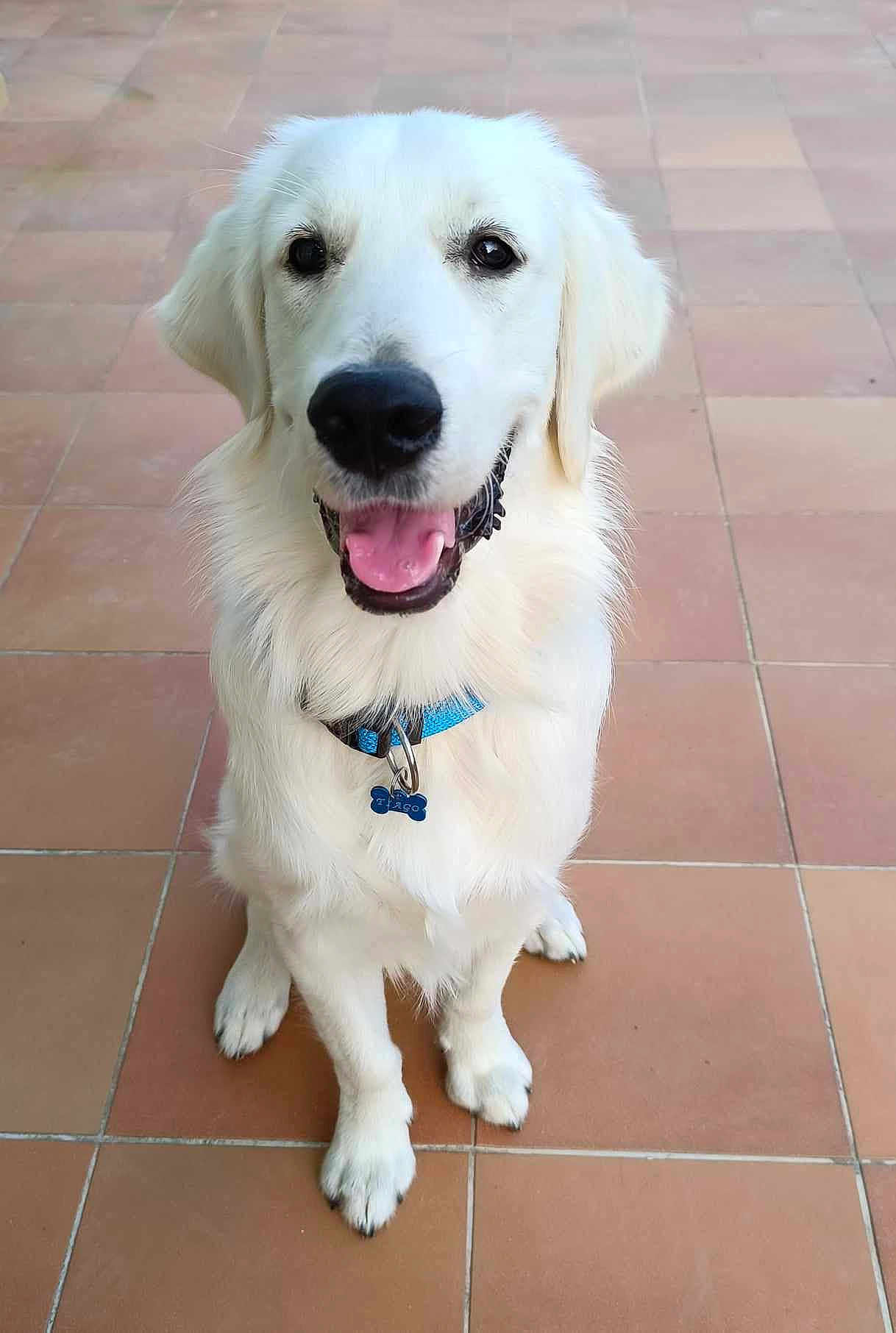Tiago