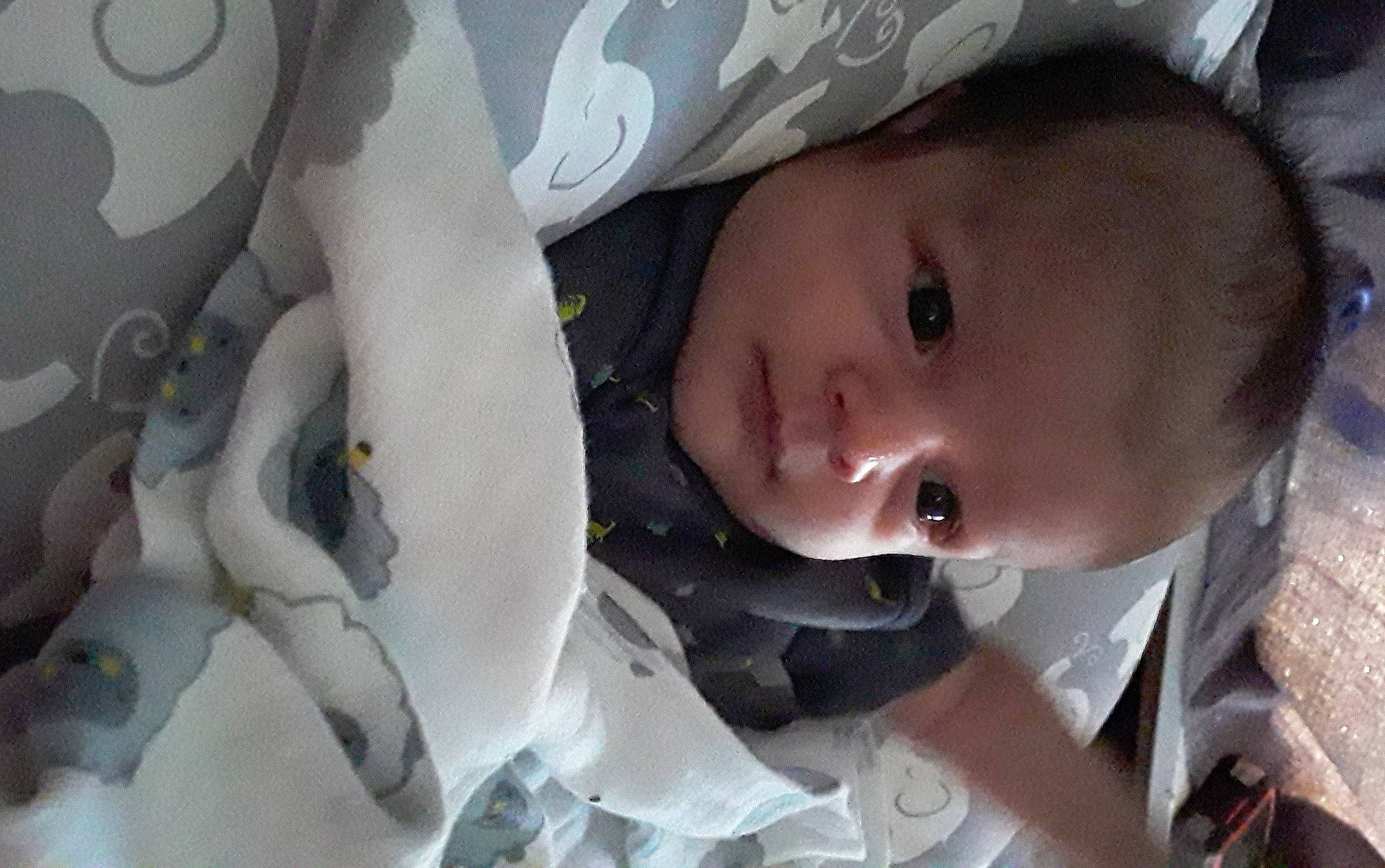 Kanan is registered to the contest to win money with this photo: baby, child, mouth, nose, person, toddler