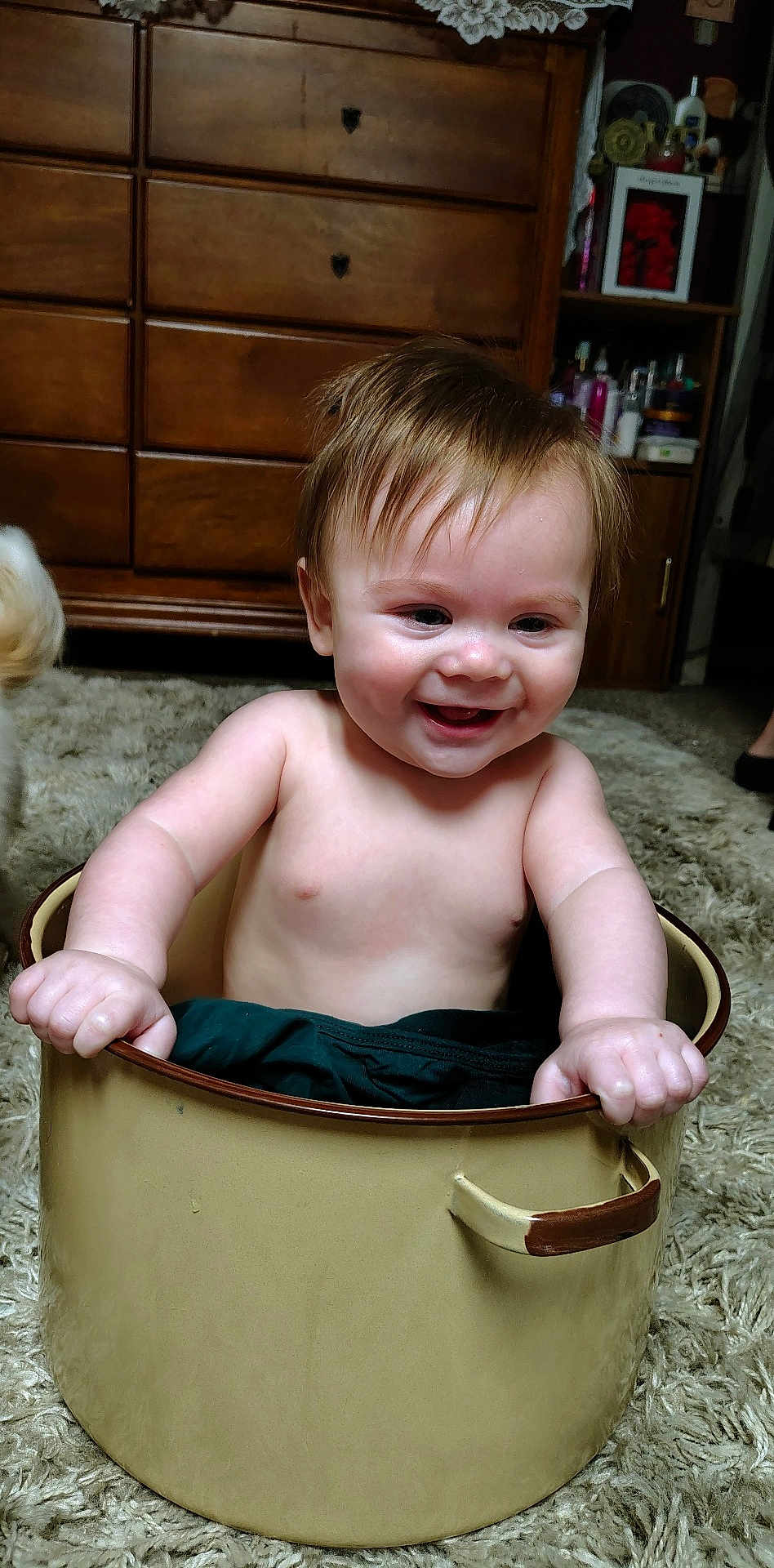 Sage joined the competition — help win amazing prizes! baby, child, pot, smiling, happy, indoor, carpet, furniture, cabinet, wood, hand, skin, hair, person, cute, playful, room, home, sitting, portrait