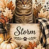 cat, tabby_cat, pet, animal, portrait, sitting, autumn, fall, pumpkins, maple_leaves, berries, rustic, wooden_sign, blanket, plaid, lantern, home_decor, indoor, framed_art, seasonal_decor