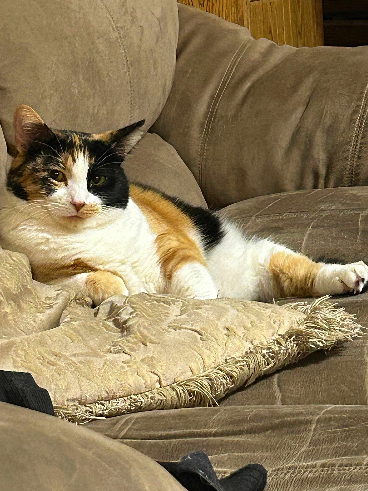 Callie