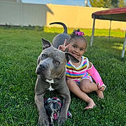 Dallas is registered to the contest to win money with this photo: dog, girl, child, smiling, outdoor, grass, backyard, portrait, sitting, peace_sign, gray_dog, pet, friendship, playful, trampoline, frisbee, sunny, tree, colorful_clothing, family