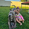 dog, girl, child, smiling, outdoor, grass, backyard, portrait, sitting, peace_sign, gray_dog, pet, friendship, playful, trampoline, frisbee, sunny, tree, colorful_clothing, family