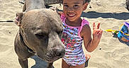 Dallas joined the competition — help win amazing prizes! child, dog, beach, ocean, sand, driftwood, outdoor, smiling, peace_sign, swimsuit, curly_hair, kneeling, pet, pit_bull, animal, summer, sunlight, shadows, beach_toys, portrait