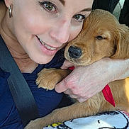 Rocky joined the competition — help win amazing prizes! woman, person, puppy, dog, golden_fur, animal, pet, hugging, cuddle, smiling, face, portrait, close_up, car, seatbelt, indoors, blanket, red_harness, sleepy, whiskers