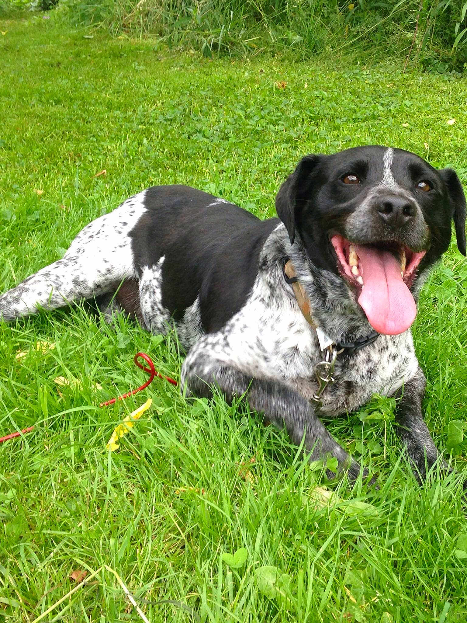Cooper