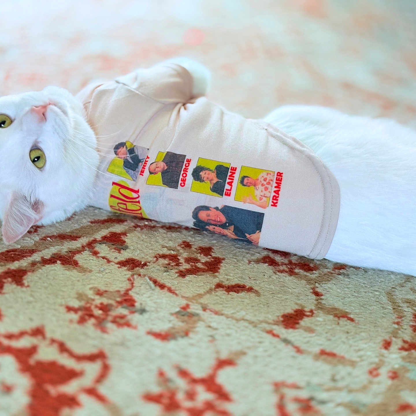 Toonses joined the competition — help win amazing prizes! apparel, carpet, cat, close_up, cozy, cute, fur, home, indoor, lying_down, modeling, patterned_rug, pet, portrait, printed_shirt, relaxed, seinfeld, t_shirt, white_cat, yellow_eyes