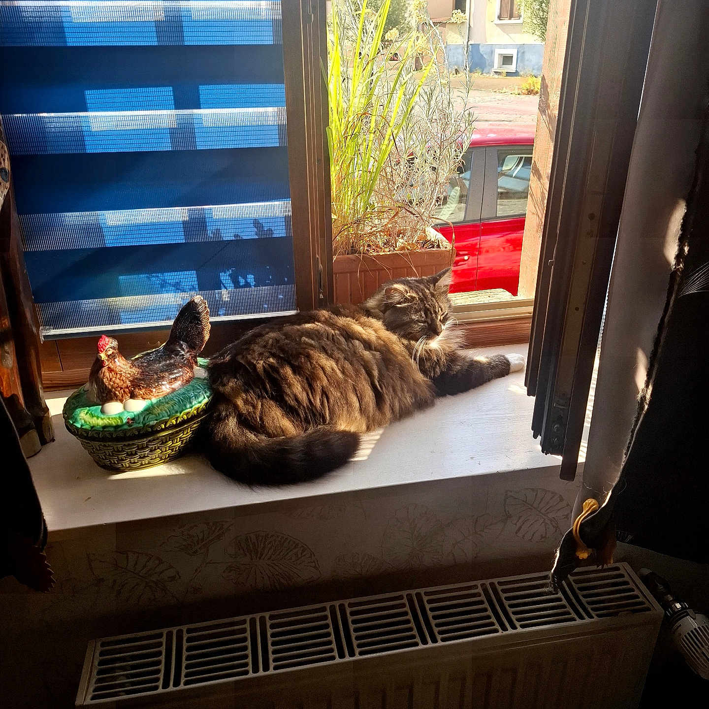 Maline