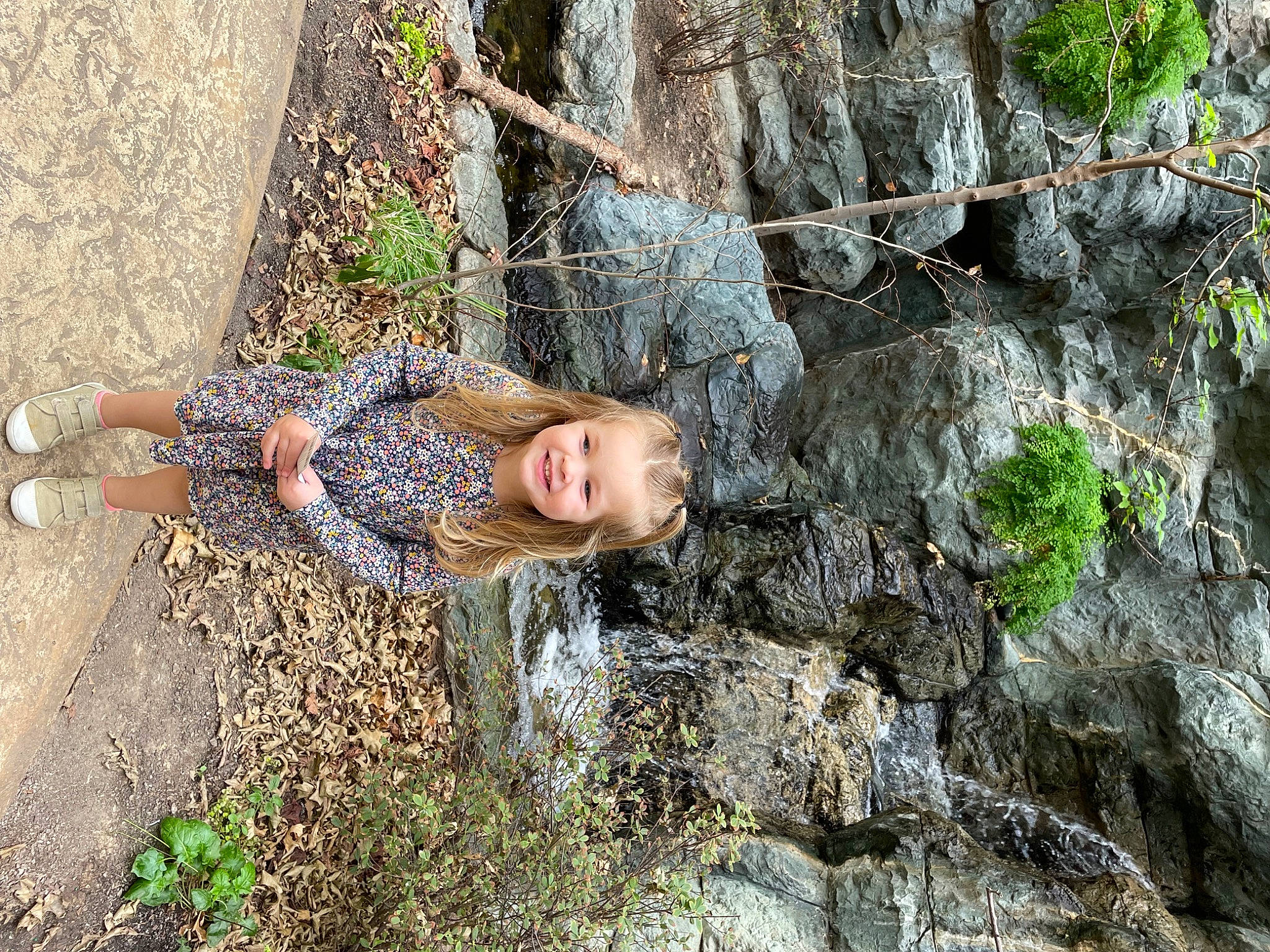 Addilyn is registered to the contest to win money with this photo: adventure, bedrock, forest, fun, grass, groundcover, joy, landscape, leaf, leisure, outcrop, people_in_nature, person, plant, portrait_photography, recreation, rock, smile, soil, tree