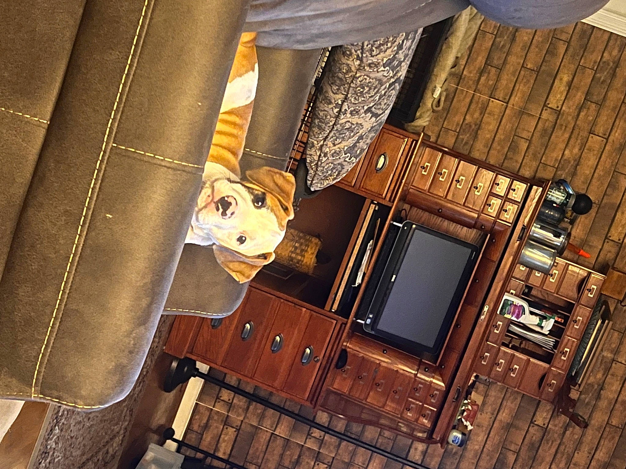 Zeus is registered to the contest to win money with this photo: brown, ceiling, flooring, hardwood, metal, pattern, room, sleeve, tie, wood, wood_stain