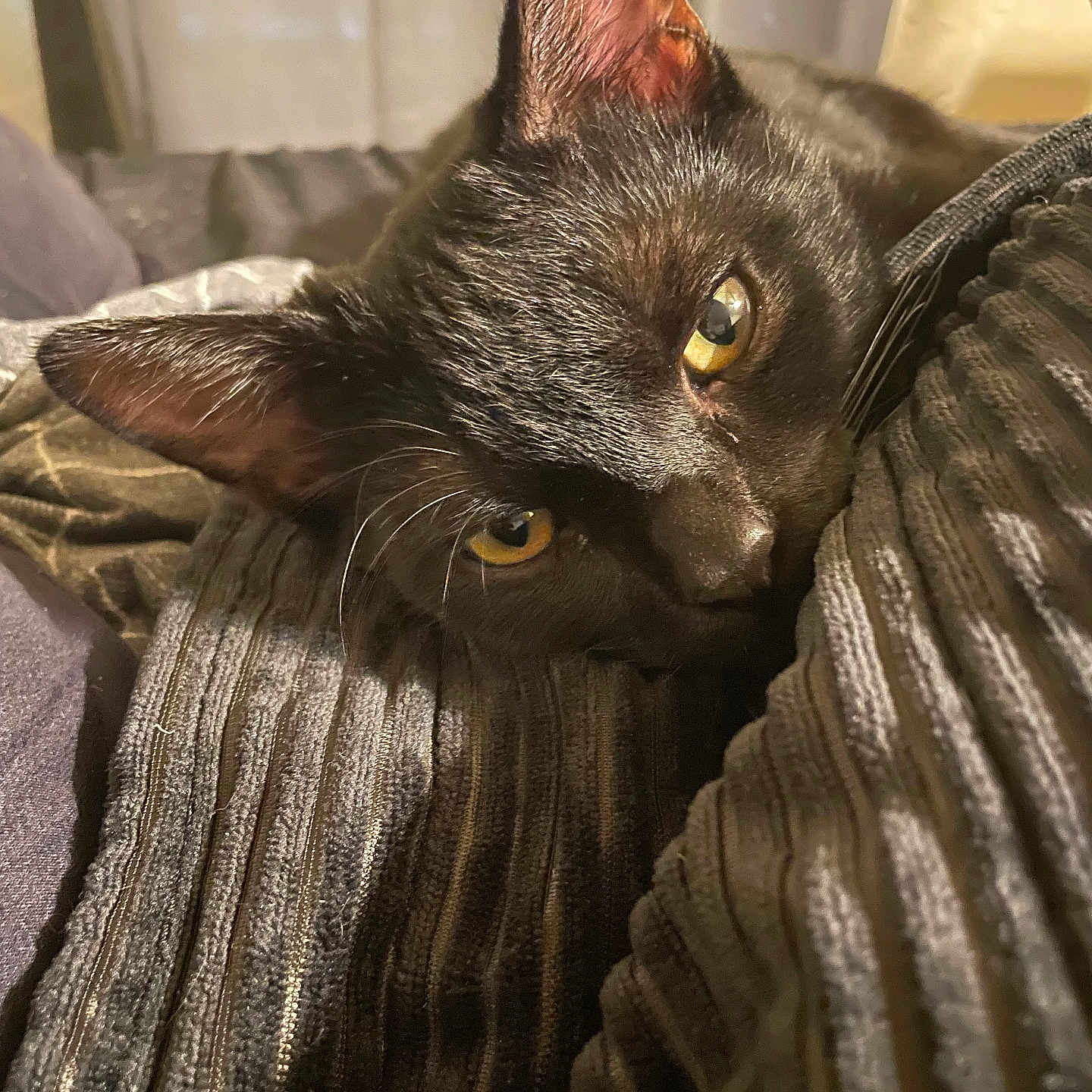 Onyx