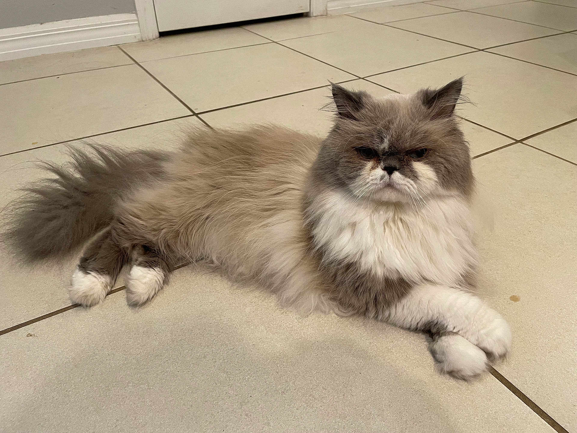 Cloud