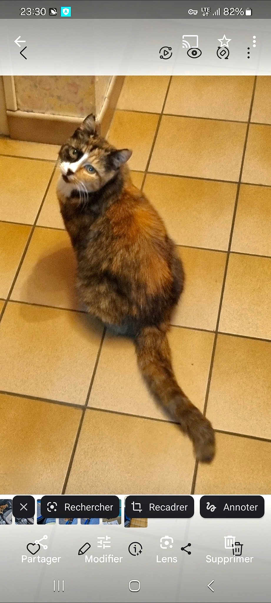 Moumoune