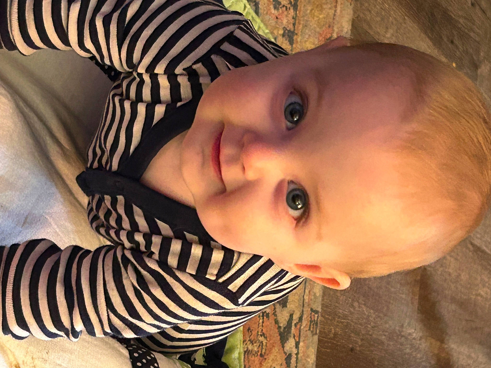 King is registered to the contest to win money with this photo: baby, cheek, chin, dress, eyebrow, eyelash, flash_photography, hair, hairstyle, happy, human_body, iris, lip, mouth, nose, person, plant, skin, smile, tree