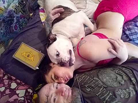 Creole is registered to the contest to win money with this photo: american_bulldog, american_pit_bull_terrier, bulldog, canidae, carnivore, child, companion_dog, dog, dog_breed, dogo_argentino, french_bulldog, love, nap, non_sporting_group, nose, pit_bull, puppy, puppy_love, selfie, sleep