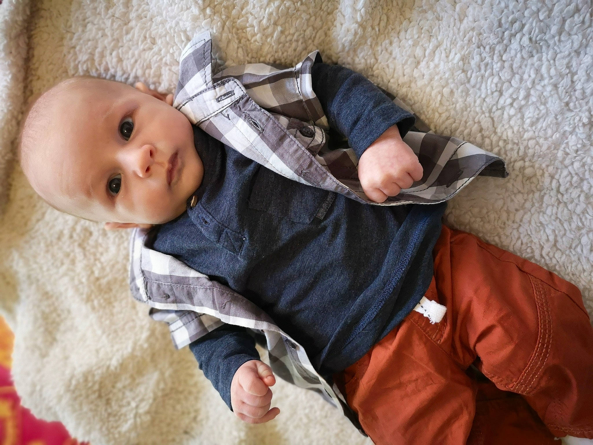 Raphaël participe au concours pour gagner de l'argent avec cette photo : baby, baby_products, baby_toddler_clothing, cheek, child, comfort, couch, fur, leg, linens, nap, pattern, person, room, sitting, skin, sleeve, textile, toddler, tree