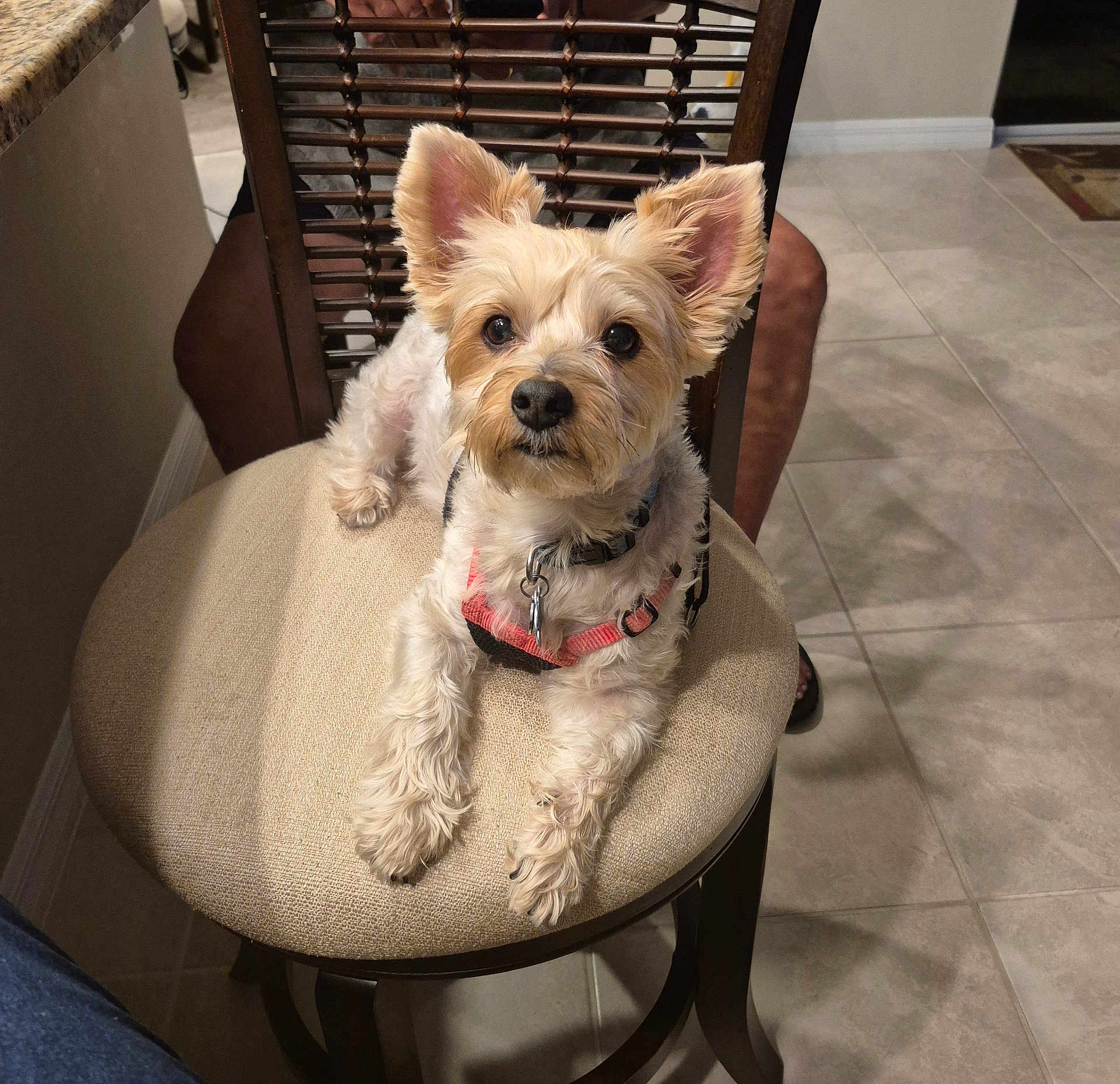 Max