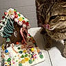 candy, cat, closeup, colorful, curious, decorations, feline, festive, food, gingerbread_house, gumdrops, holiday, icing, indoor, peppermint, pet, playful, sweet, tabby_cat, table