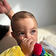 Tyam participe au concours pour gagner de l'argent avec cette photo : child, baby, face, blue_eyes, thumb_sucking, plush_toy, colorful_toy, close_up, portrait, indoors, soft_light, young_child, hand, hair, skin, expression, candid, cute, comfort, focus