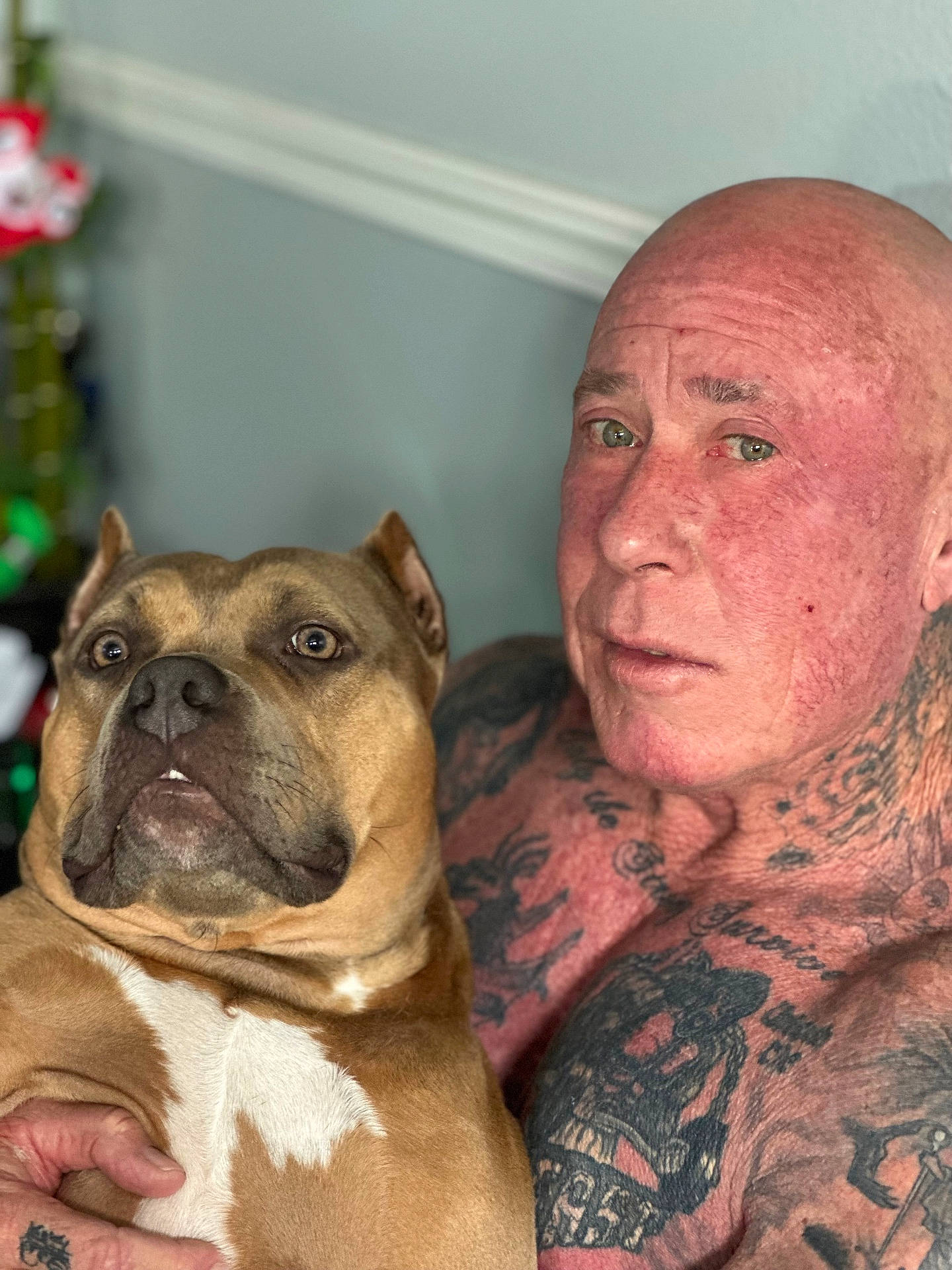 London joined the competition — help win amazing prizes! alert, animal, bald, brown_dog, close_up, dog, expression, face, holding, human, indoor, indoors, looking, man, muscular, pet, portrait, short_hair, skin, tattoos