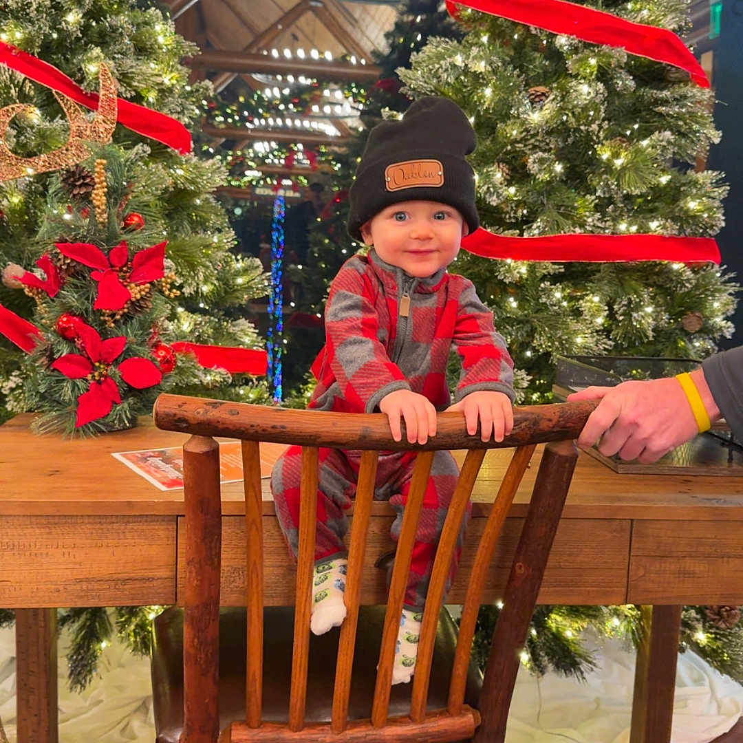 Oaklen joined the competition — help win amazing prizes! architecture, building, diningroom, diningtable, face, furniture, hardwood, head, house, indoors, lighting, person, photography, plant, portrait, pottedplant, room, table, tree, wood