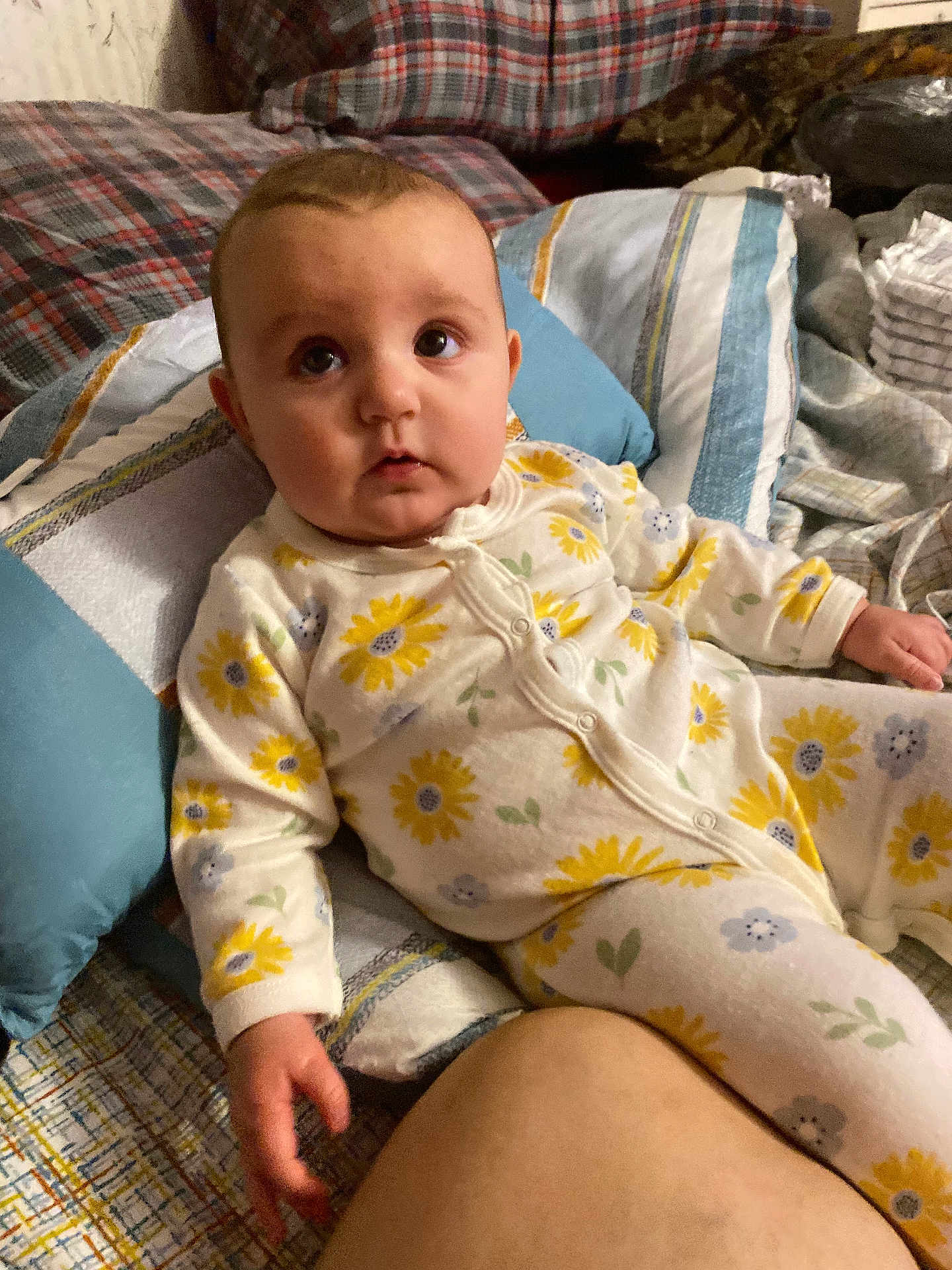 Harper