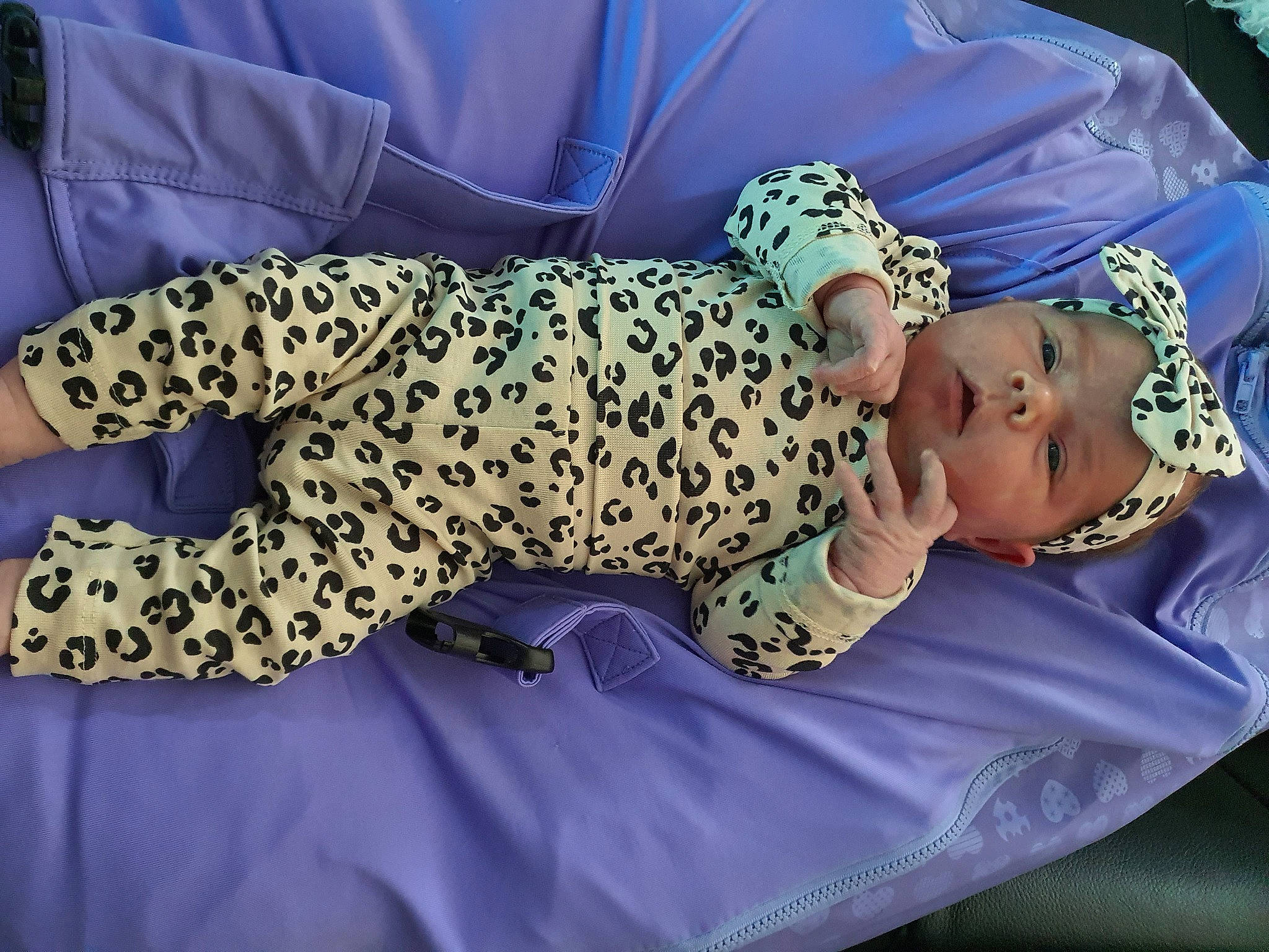 Lily Rose a rejoint le concours — aidez-le/la à gagner de superbes lots ! baby, baby_products, baby_toddler_clothing, big_cats, carnivore, child, felidae, headwear, nap, person, product, purple, sleep, textile