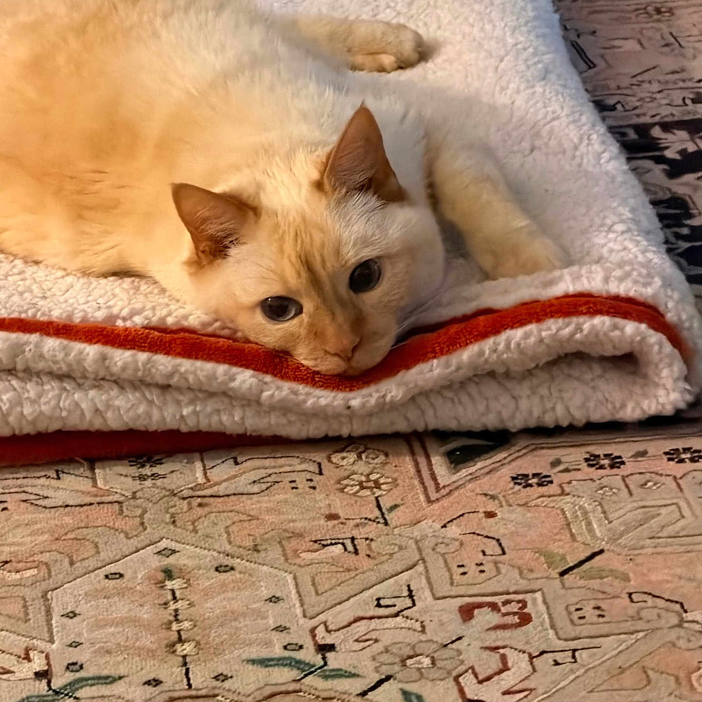 Kiki