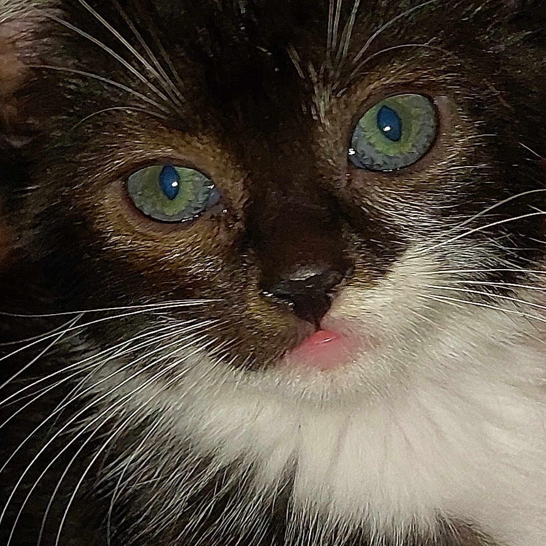 Charlie