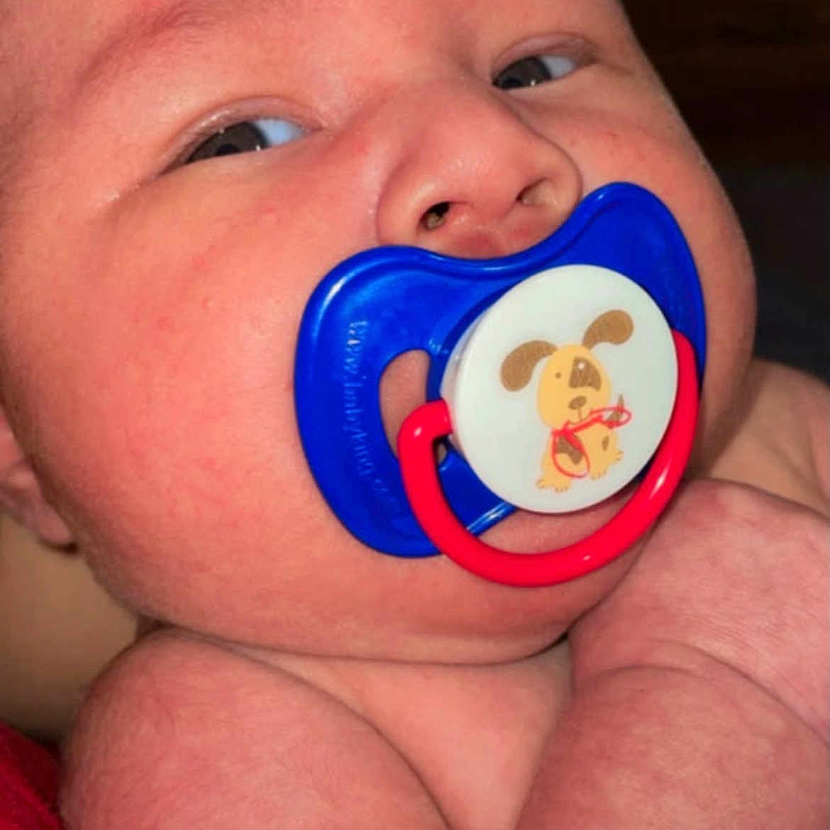 Eric joined the competition — help win amazing prizes! baby, infant, child, face, portrait, close_up, pacifier, blue_pacifier, cartoon, puppy, skeptical_expression, side_eye, rosy_cheeks, chubby, sitting, indoors, red_blanket, skin, eyes, photography