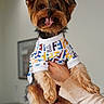 dog, small_dog, yorkshire_terrier, pet, animal, clothing, shirt, colorful, tongue_out, happy, cute, fluffy, ears, held_up, person_hand, indoor, portrait, smiling, friendly, companionship