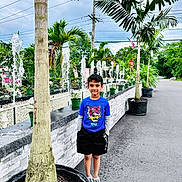 Aayan is registered to the contest to win money with this photo: child, boy, palm_tree, water_fountain, plants, outdoor, potted_plant, sidewalk, street, cloudy_sky, greenery, casual_clothing, blue_shirt, black_shorts, sneakers, hands_in_pockets, smiling, young, daytime, nature