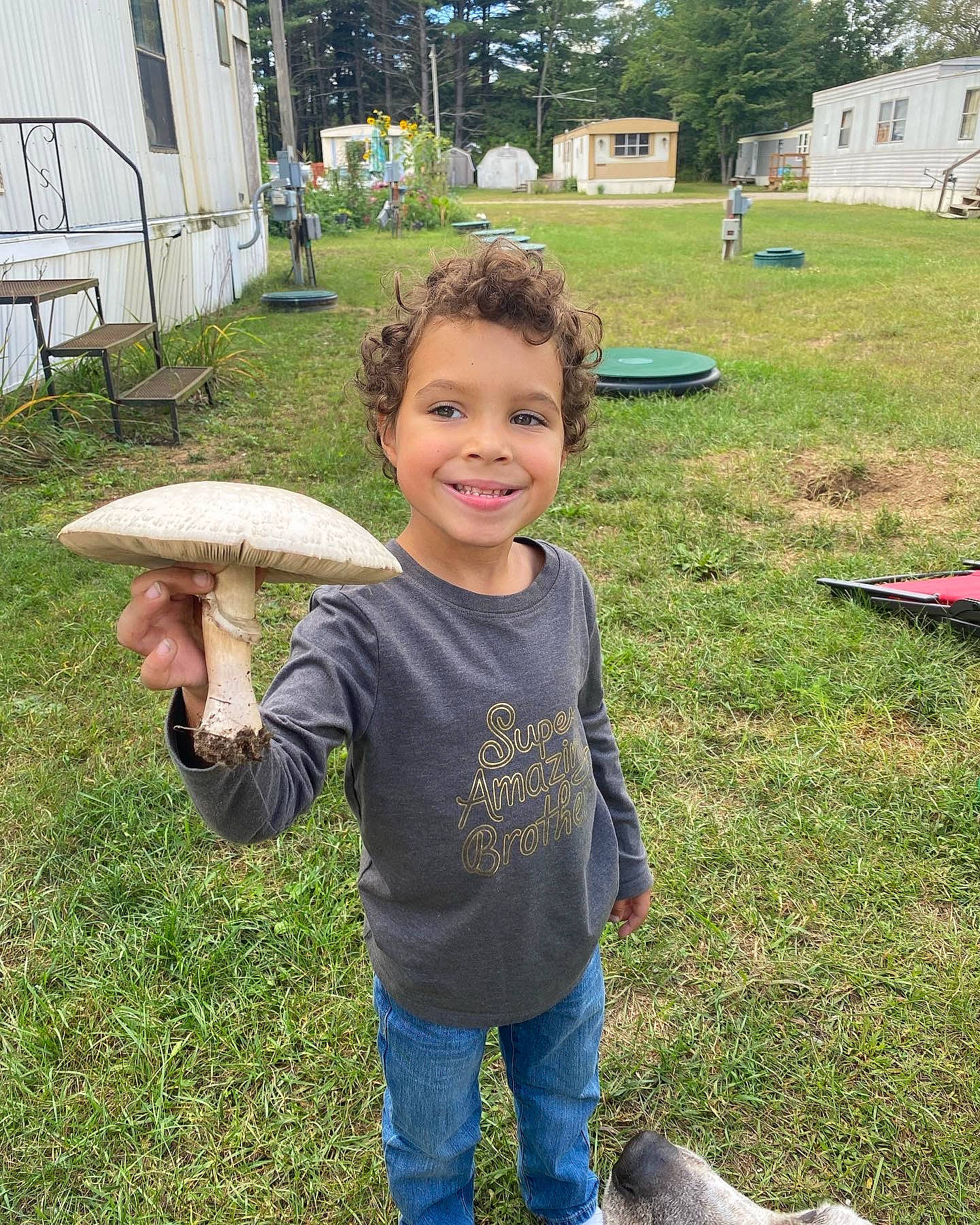 Greysen joined the competition — help win amazing prizes! bench, child, fish, fun, grass, grass_family, happy, joy, landscape, lawn, leisure, person, plant, recreation, smile, soil, spring, summer, t_shirt, table