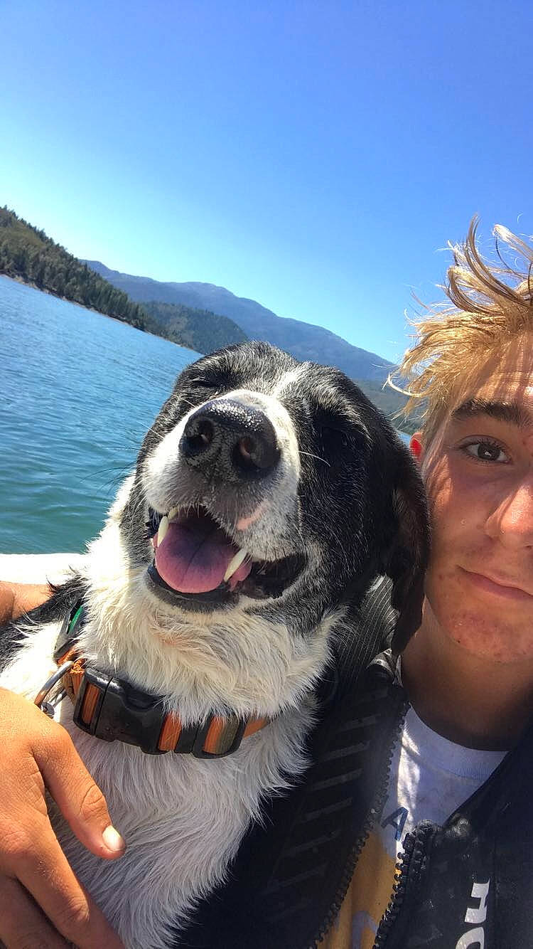 Tango is registered to the contest to win money with this photo: boat, carnivore, companion_dog, cool, dog, dog_breed, eyewear, fun, happy, lake, leisure, mountain, mountainous_landforms, recreation, selfie, sky, smile, snout, travel, water