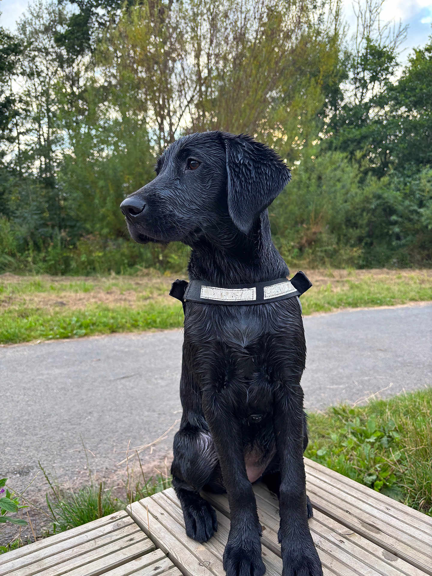 Ruby