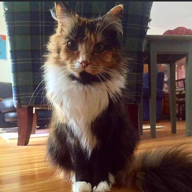 Marla is registered to the contest to win money with this photo: